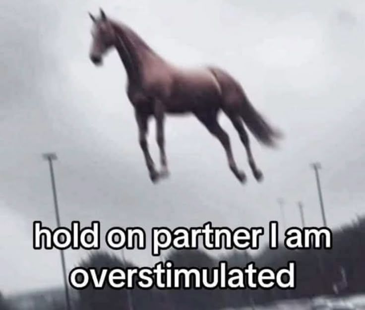 overstimulated horse lol (me)