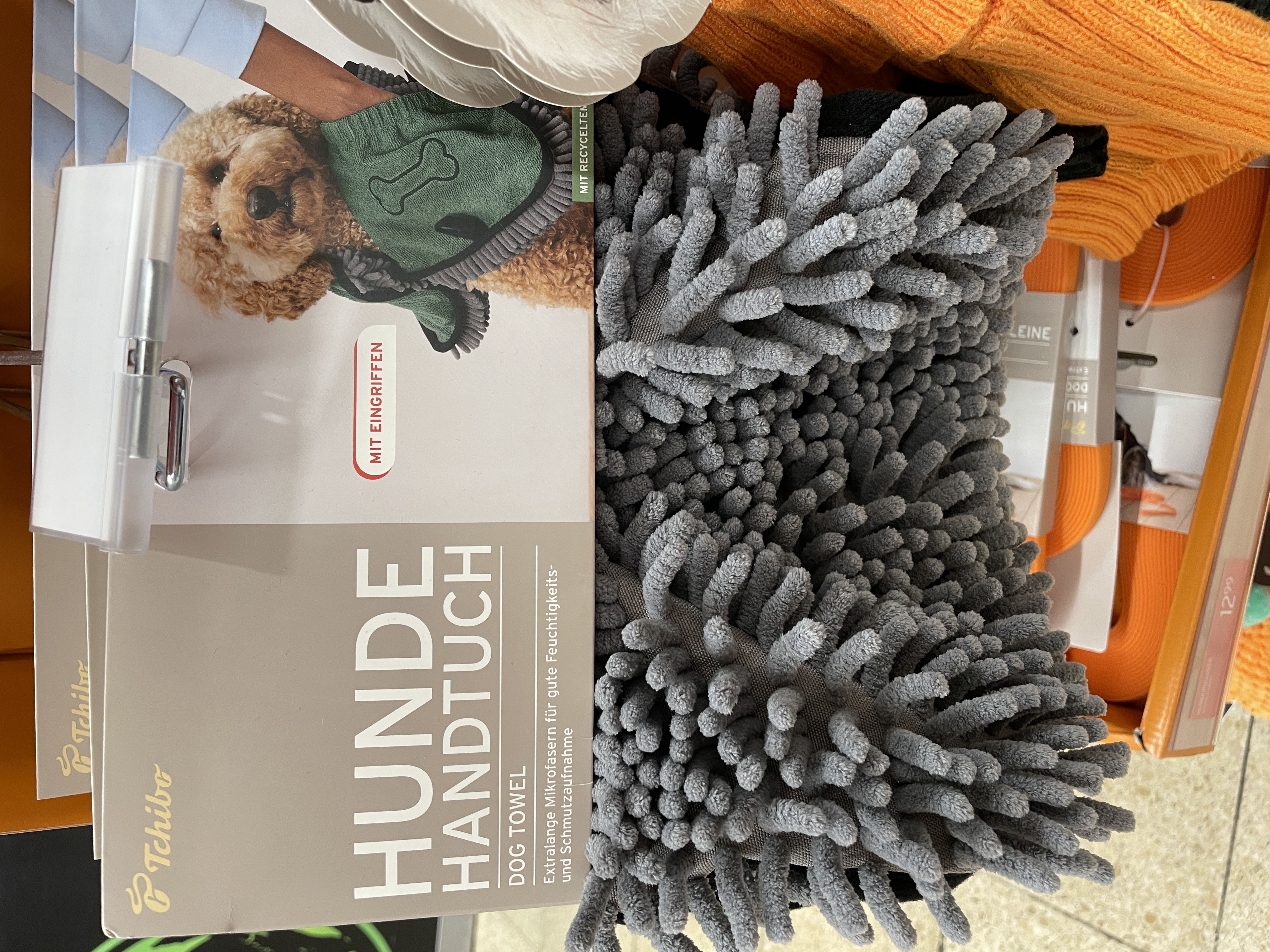 how to keep your dog clean