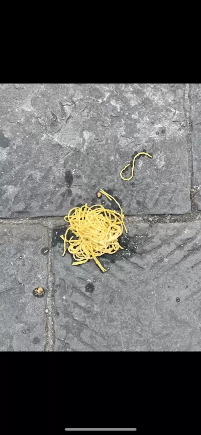 you could eat off it