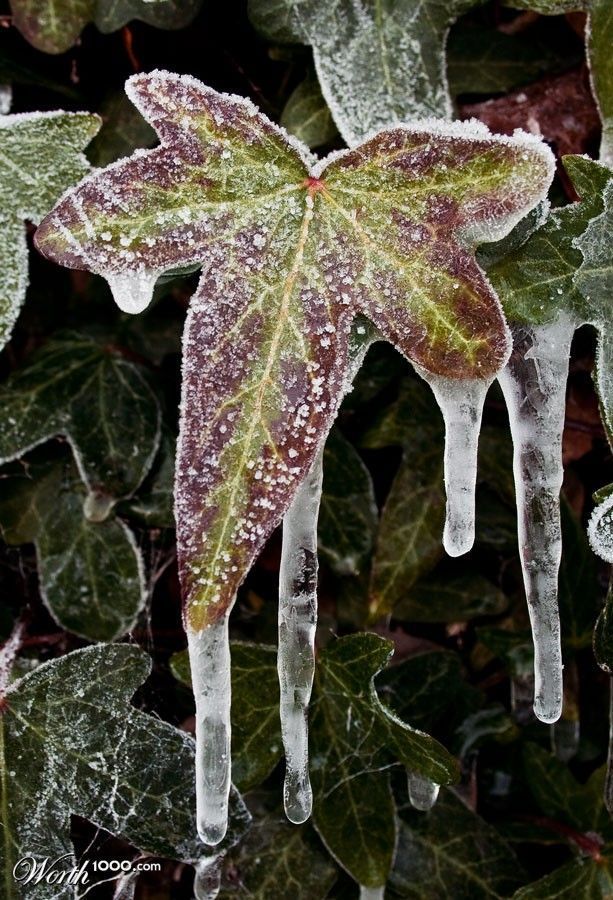 ...or gets preserved