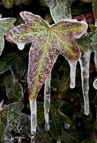 ...or gets preserved