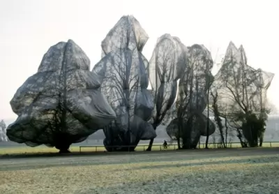 Christo & Jeanne-Claudes dust-free trees
