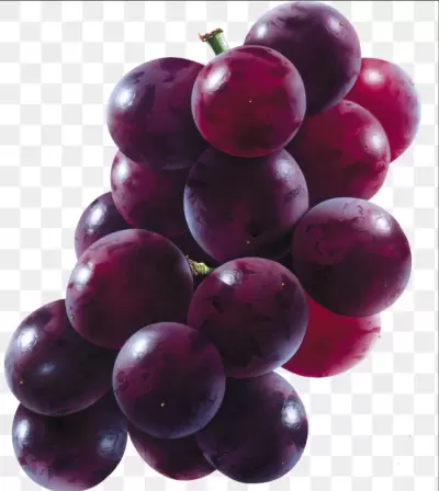 it starts with grapes